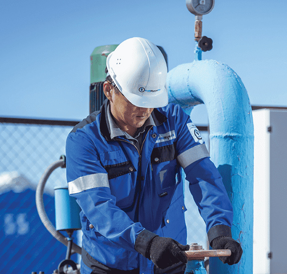 Винтажды порнографиялық картина